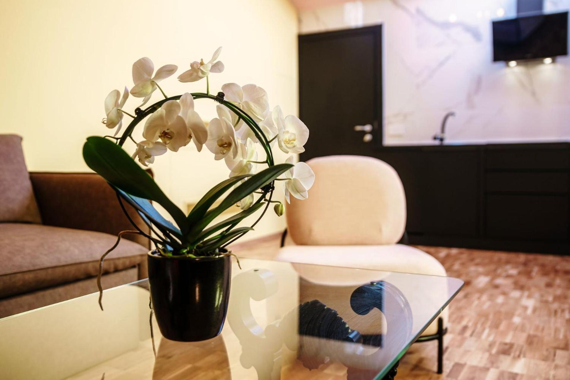 Vitrum - Como Luxury Suites الغرفة الصورة